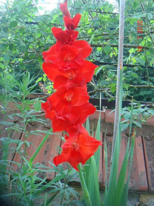 Name:  DSC02444.jpg
Views: 689
Size:  75.8 KB