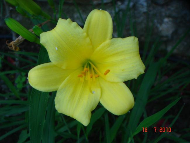 Name:  DSC02384.jpg
Views: 647
Size:  28.6 KB