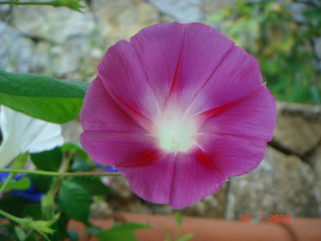 Name:  DSC02388.jpg
Views: 646
Size:  30.5 KB