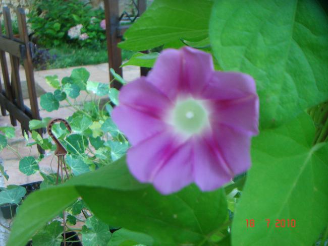 Name:  DSC02390.jpg
Views: 608
Size:  37.7 KB