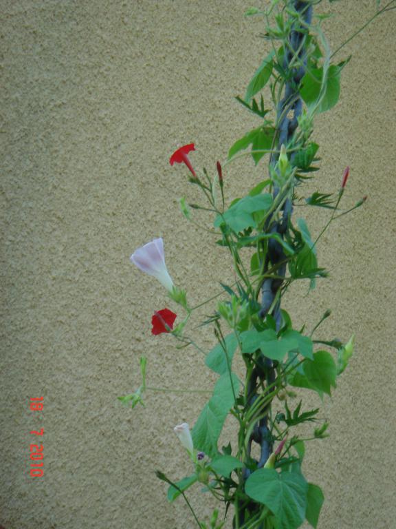 Name:  DSC02454.jpg
Views: 647
Size:  71.7 KB