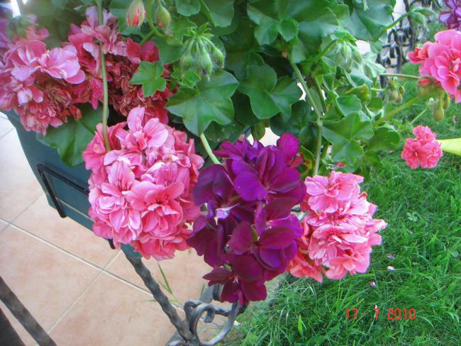 Name:  DSC02237.jpg
Views: 629
Size:  68.6 KB