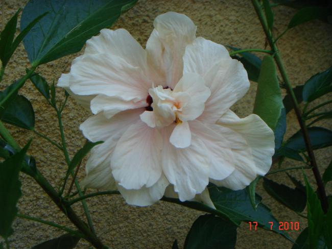 Name:  DSC02247.jpg
Views: 597
Size:  42.8 KB