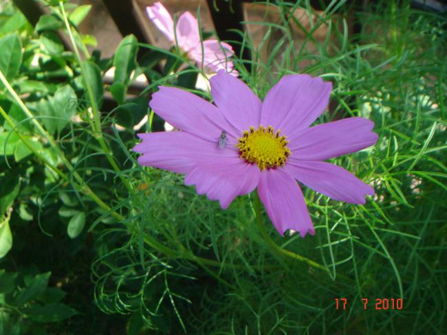 Name:  DSC02291.jpg
Views: 598
Size:  52.7 KB