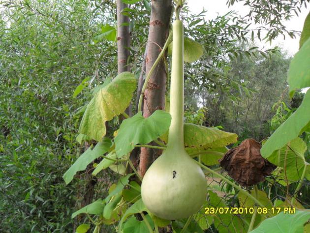 Name:  Resim 1807.jpg
Views: 1280
Size:  71.3 KB