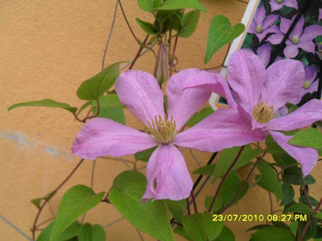 Name:  Resim 1809.jpg
Views: 1049
Size:  43.1 KB
