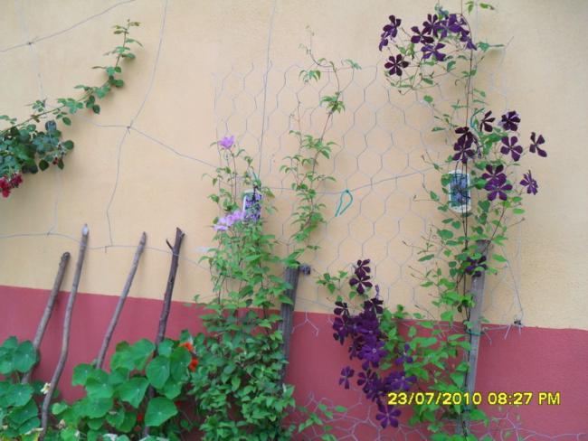 Name:  Resim 1810.jpg
Views: 1049
Size:  48.3 KB