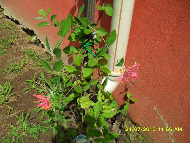 Name:  655.jpg
Views: 1326
Size:  67.0 KB