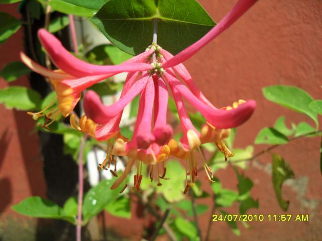 Name:  656.jpg
Views: 1048
Size:  41.2 KB