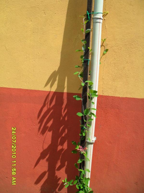 Name:  659.jpg
Views: 1033
Size:  66.2 KB