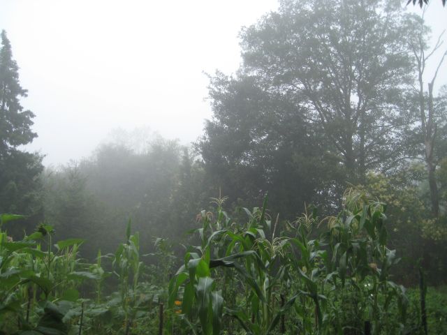 Name:  IMG_2989.JPG
Views: 1036
Size:  57.7 KB