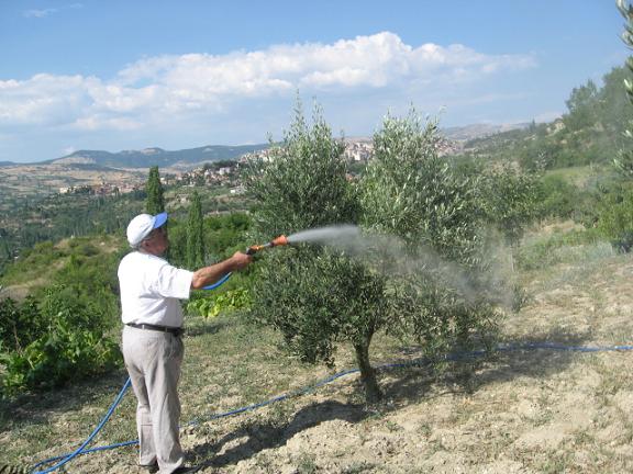 Name:  z ilalama.JPG
Views: 2400
Size:  63.3 KB