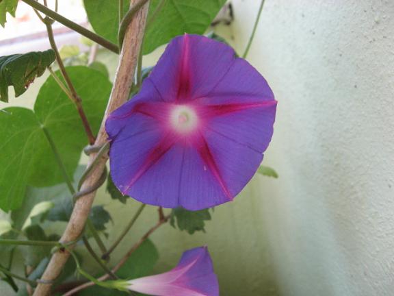 Name:  sabah s.JPG
Views: 2286
Size:  35.8 KB