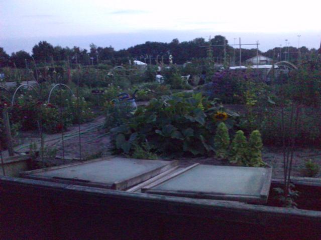 Name:  LGIM0096.jpg
Views: 709
Size:  38.6 KB