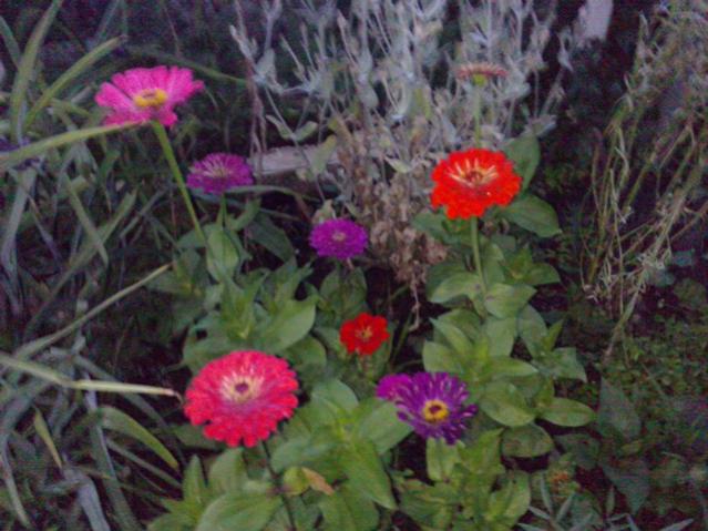 Name:  LGIM0094.jpg
Views: 689
Size:  51.4 KB