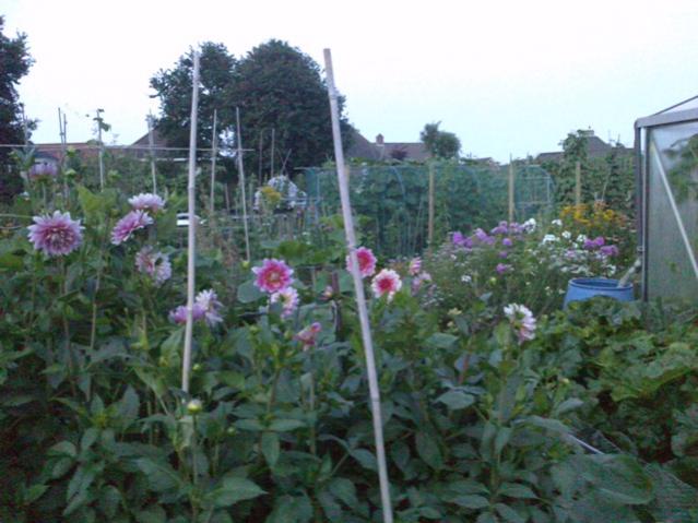 Name:  LGIM0090.jpg
Views: 654
Size:  48.1 KB