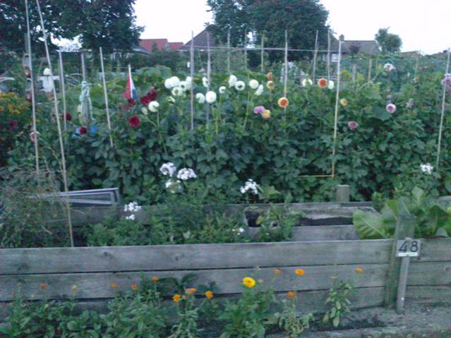 Name:  LGIM0087.jpg
Views: 686
Size:  59.0 KB