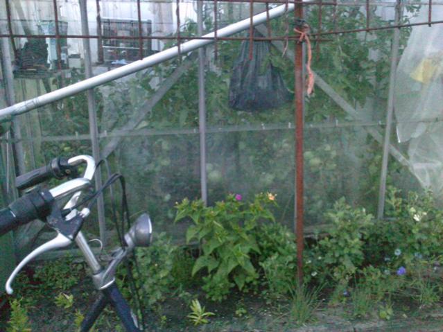 Name:  LGIM0086.jpg
Views: 697
Size:  53.7 KB