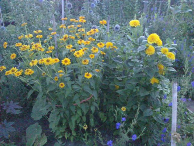 Name:  LGIM0084.jpg
Views: 735
Size:  58.6 KB