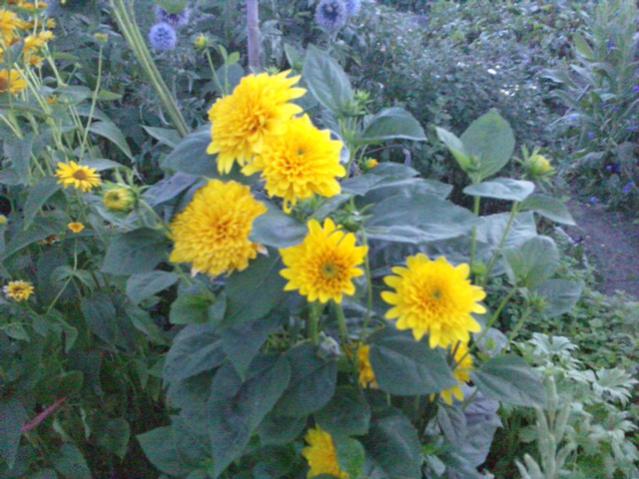 Name:  LGIM0082.jpg
Views: 1048
Size:  55.7 KB