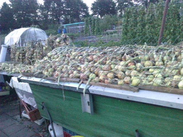 Name:  LGIM0081.jpg
Views: 691
Size:  58.9 KB