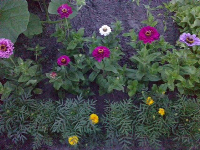Name:  LGIM0080.jpg
Views: 758
Size:  58.3 KB