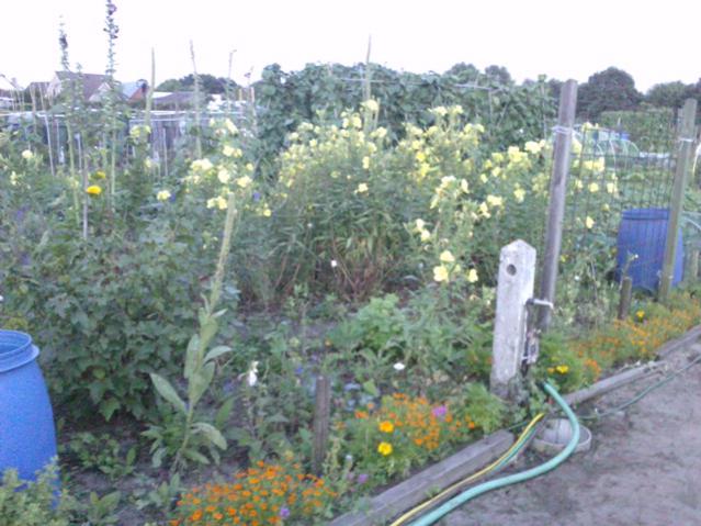 Name:  LGIM0077.jpg
Views: 723
Size:  55.0 KB
