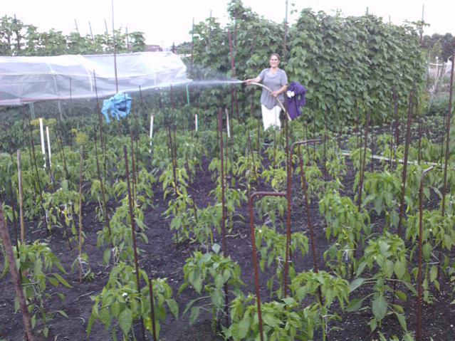 Name:  LGIM0035.jpg
Views: 560
Size:  69.2 KB