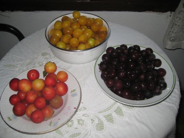 Name:  IMG_3052.JPG
Views: 848
Size:  52.1 KB