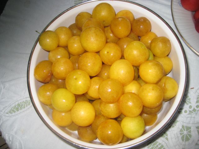 Name:  IMG_3053.JPG
Views: 835
Size:  56.7 KB