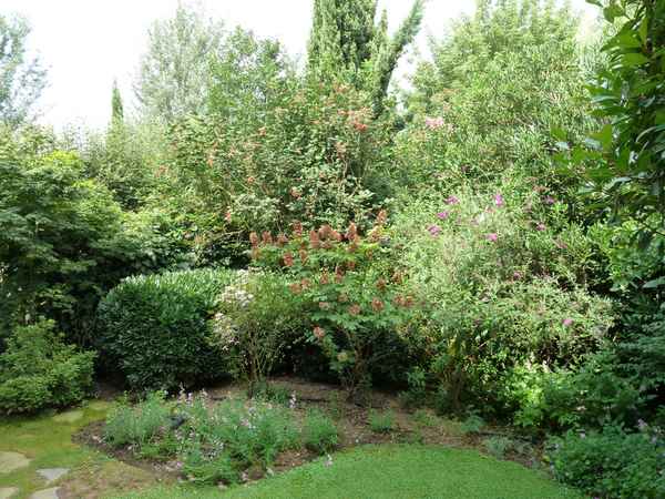 Name:  Bahe 01 Austos 2010 058.JPG
Views: 1038
Size:  66.3 KB