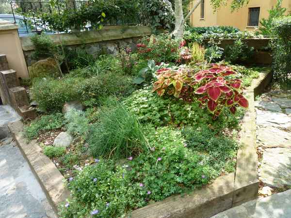 Name:  Bahe 01 Austos 2010 055.JPG
Views: 1049
Size:  66.1 KB