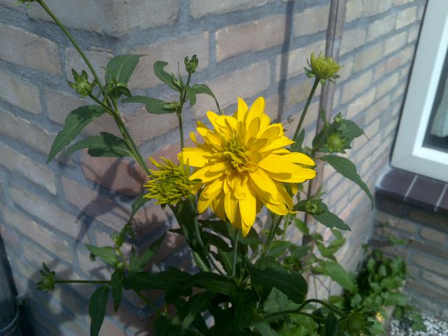 Name:  Foto1161.jpg
Views: 740
Size:  47.9 KB