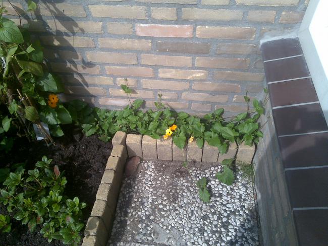 Name:  Foto1162.jpg
Views: 669
Size:  62.5 KB