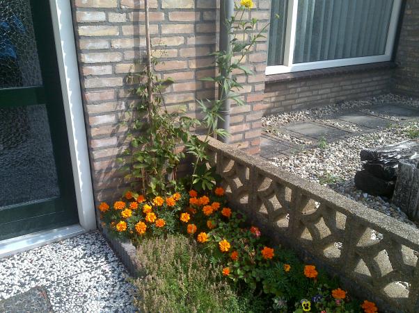 Name:  Foto1166.jpg
Views: 652
Size:  70.8 KB