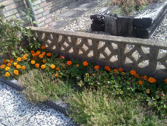 Name:  Foto1167.jpg
Views: 677
Size:  71.1 KB