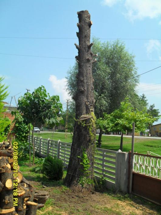 Name:  024.jpg
Views: 1283
Size:  69.6 KB