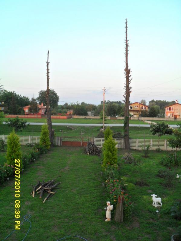 Name:  008.jpg
Views: 1279
Size:  57.6 KB