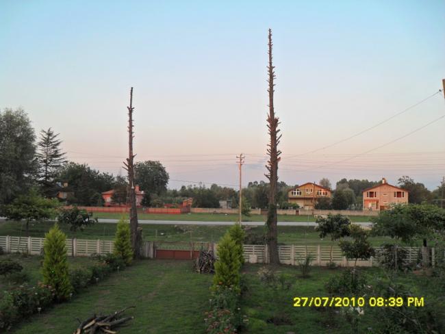 Name:  009.jpg
Views: 1355
Size:  38.1 KB