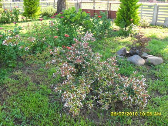 Name:  001.jpg
Views: 1356
Size:  72.5 KB