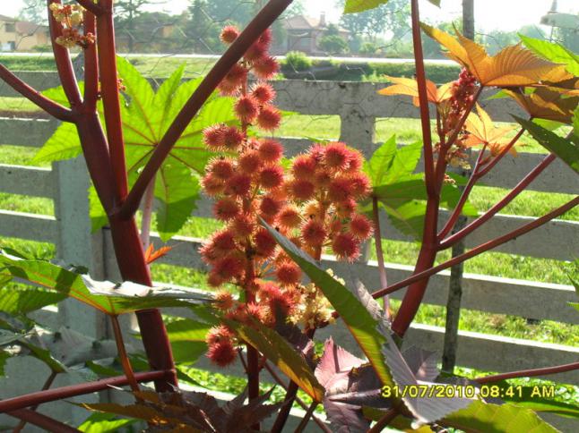 Name:  018.jpg
Views: 1850
Size:  70.4 KB
