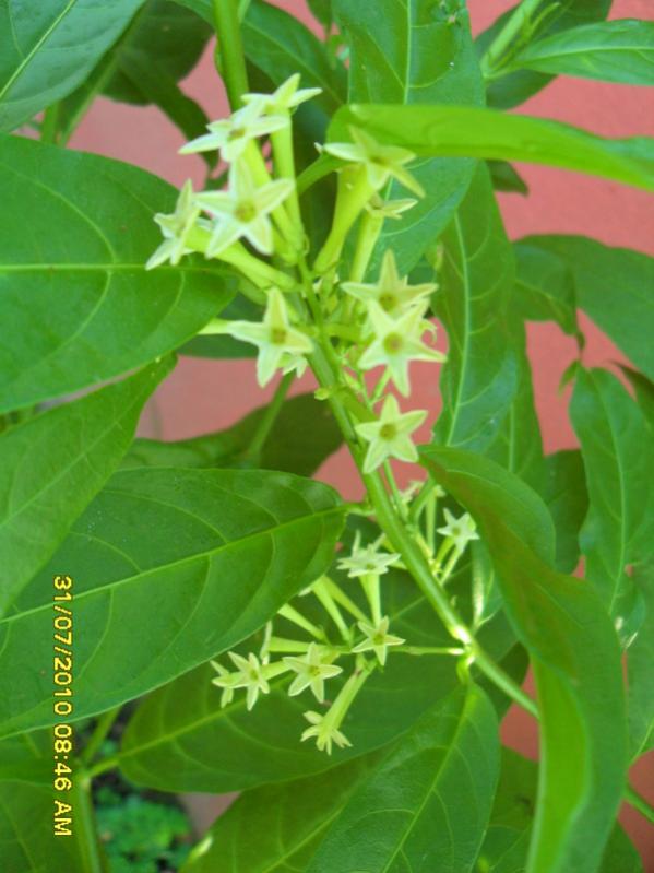 Name:  025.jpg
Views: 1237
Size:  53.8 KB