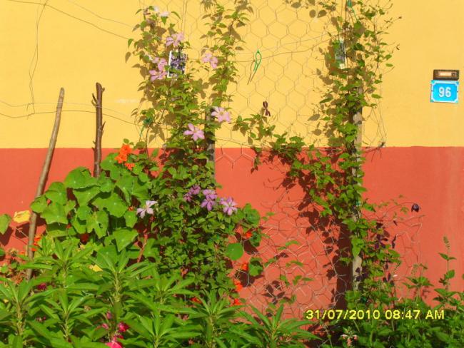 Name:  028.jpg
Views: 1234
Size:  65.9 KB