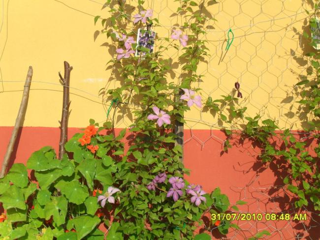 Name:  029.jpg
Views: 1231
Size:  65.7 KB