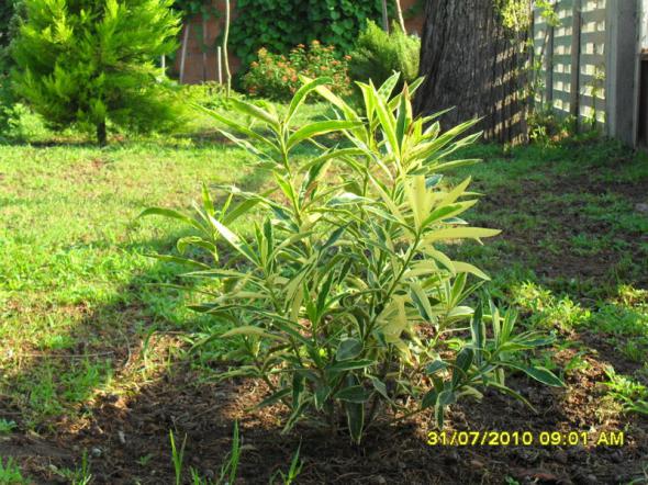 Name:  057.jpg
Views: 1459
Size:  72.4 KB