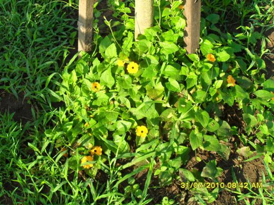Name:  019.jpg
Views: 1194
Size:  74.9 KB