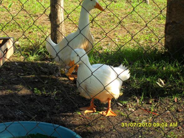 Name:  065.jpg
Views: 1328
Size:  71.6 KB