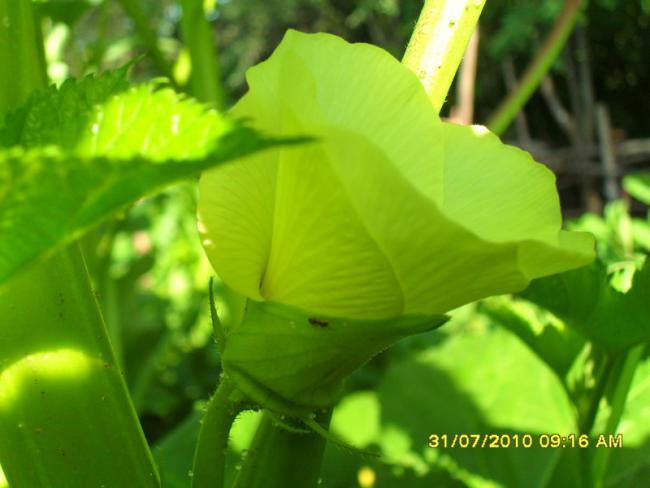 Name:  084.jpg
Views: 1178
Size:  33.2 KB