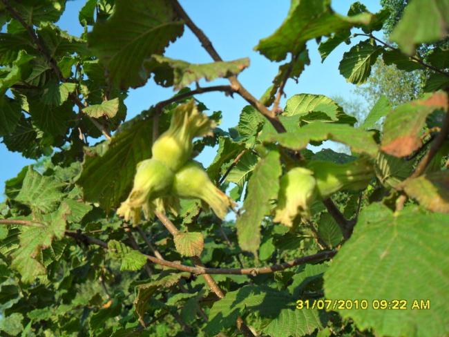 Name:  097.jpg
Views: 1293
Size:  63.4 KB