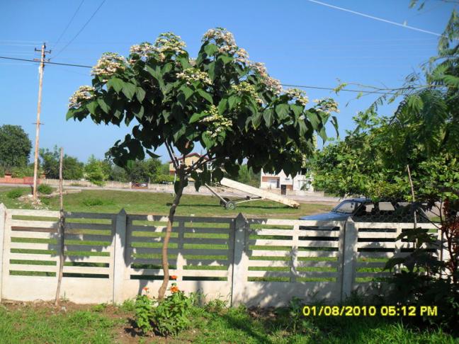 Name:  019.jpg
Views: 1222
Size:  70.2 KB